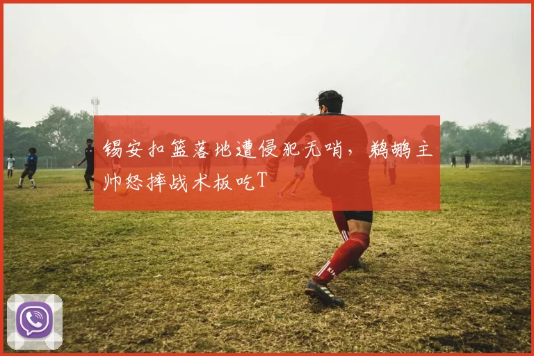锡安扣篮落地遭侵犯无哨,鹈鹕主帅怒摔战术板吃T