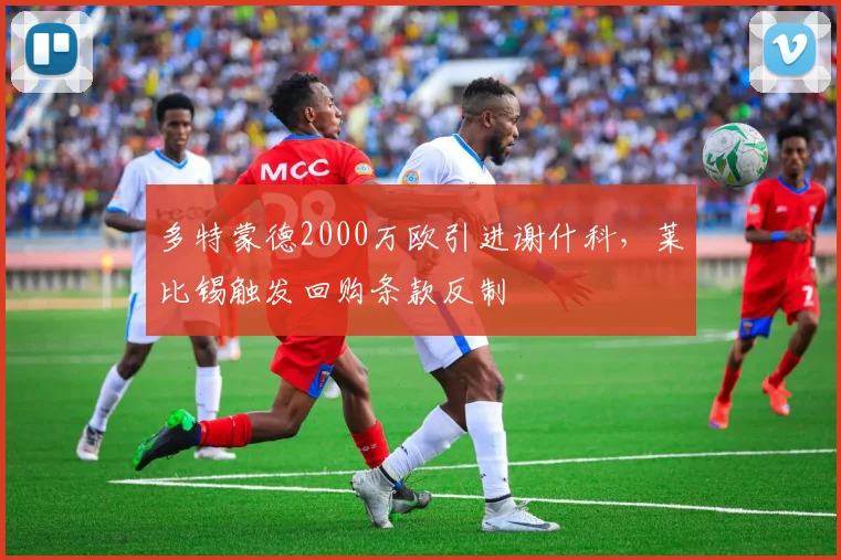 多特蒙德2000万欧引进谢什科,莱比锡触发回购条款反制